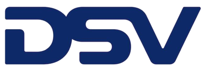 DSV Logo